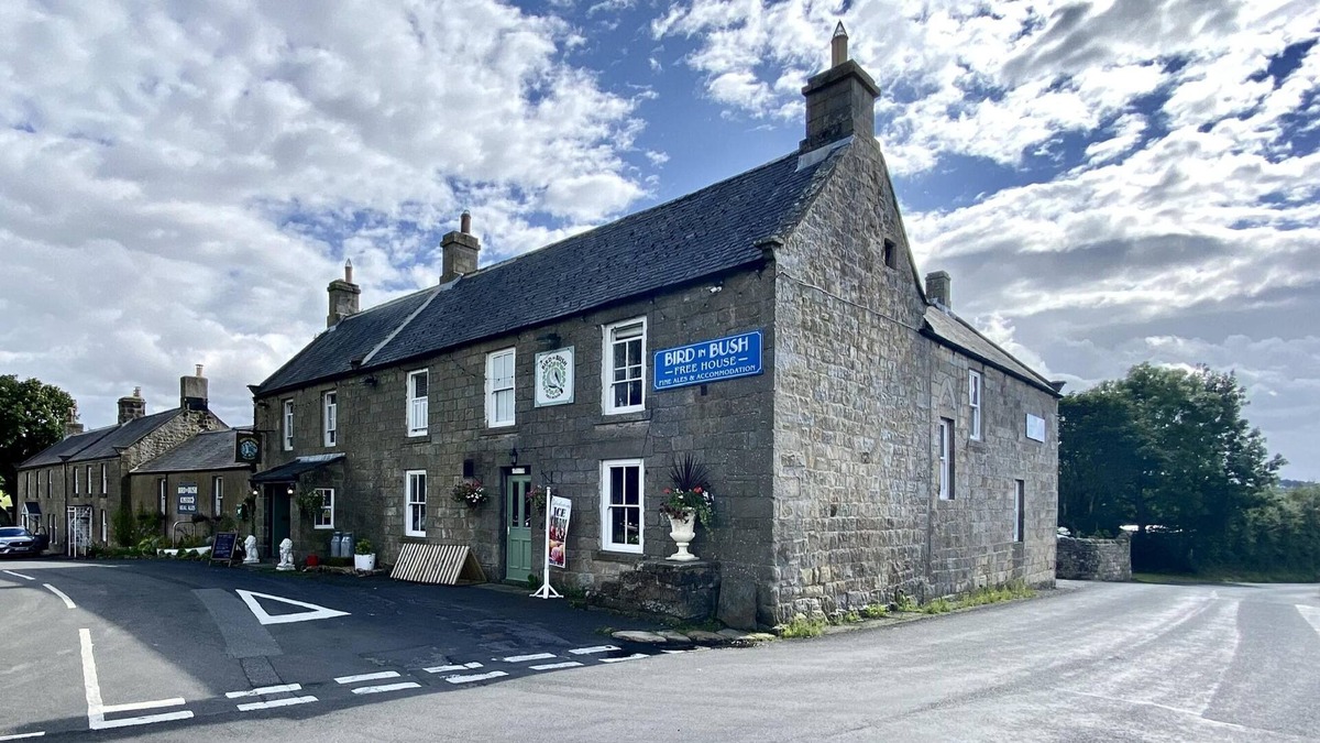 Elsdon Hotel | Bird In Bush Elsdon
