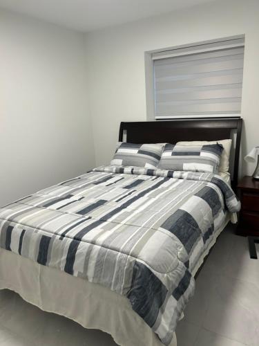 Guildford Apartment | Bird Nest Suites