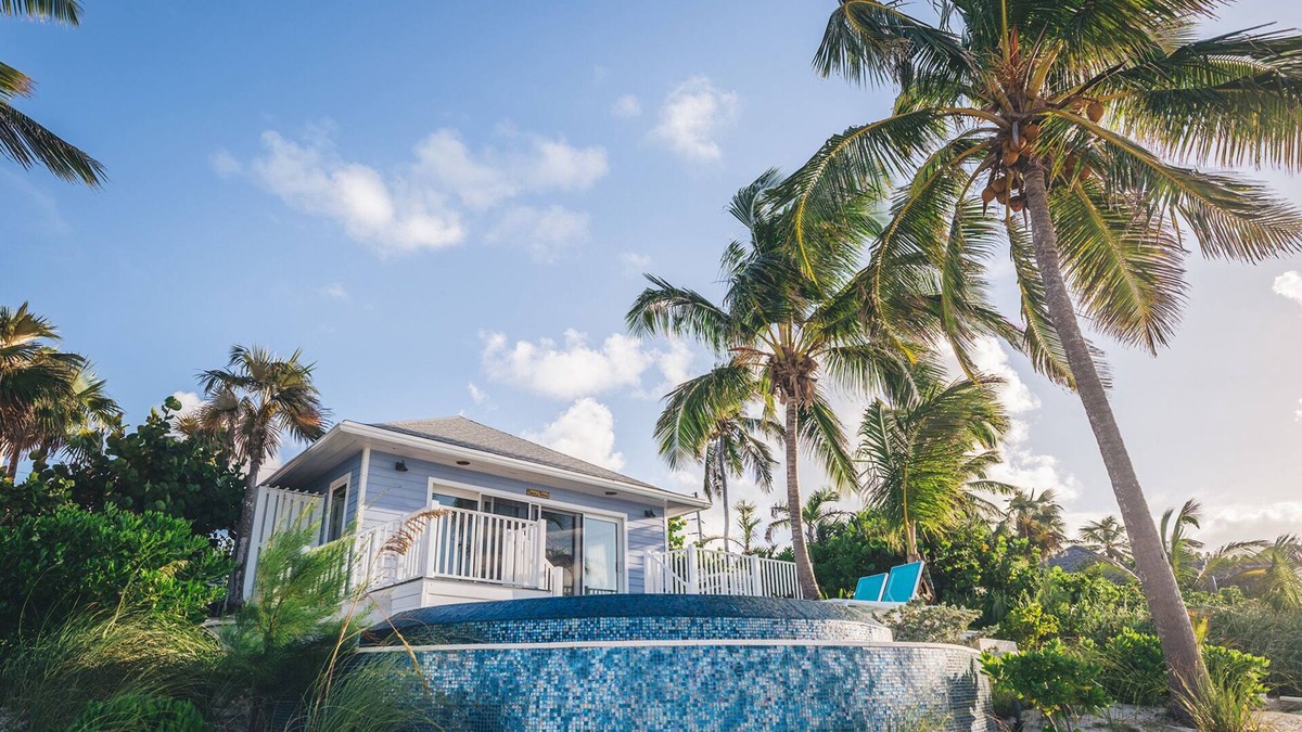 Governor's Harbour Cottage | Bird of paradise, purple papaya
