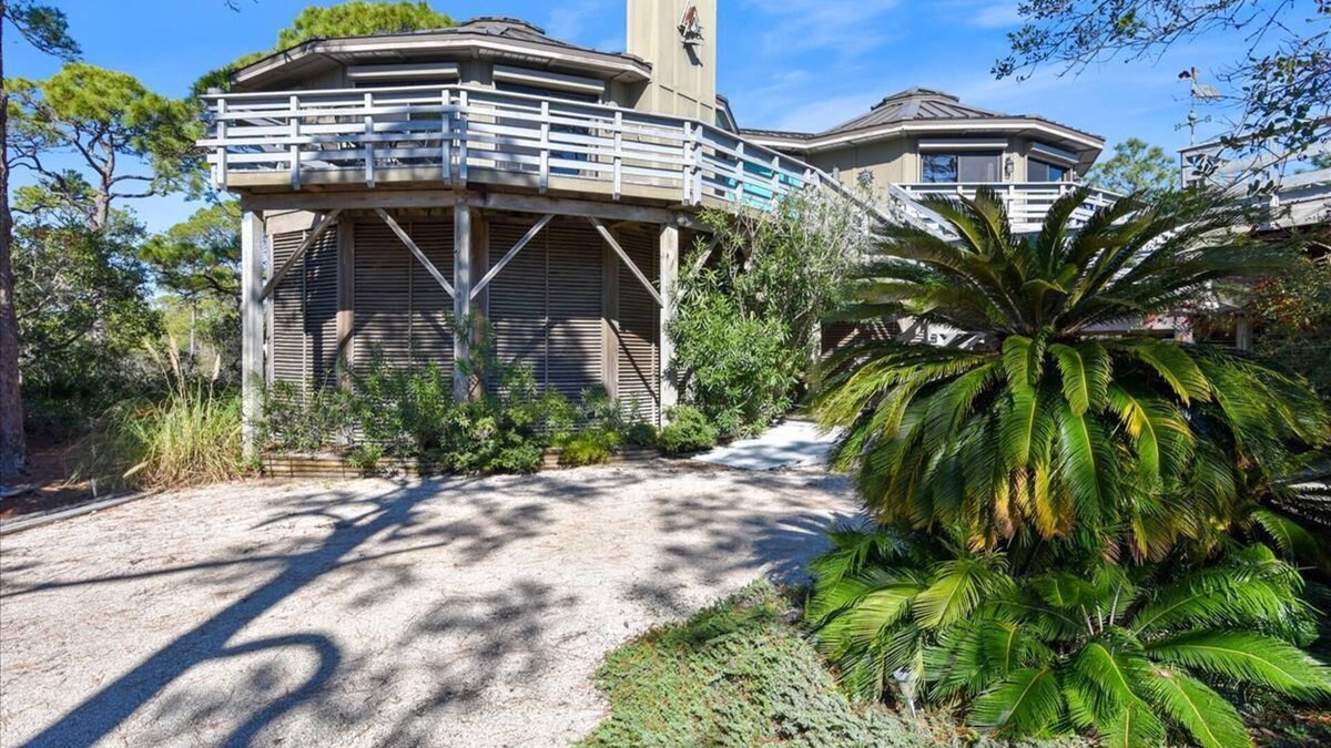Sea Palm Village House | BIRD WATCHER IS PARADISE FOR A NATURE LOVER!