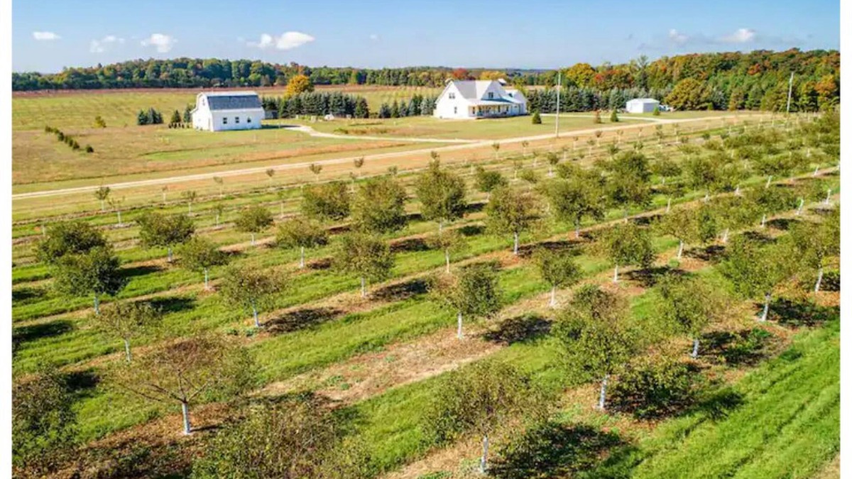 Suttons Bay Apartment | Birds Nest: Farm Stay with orchard views.