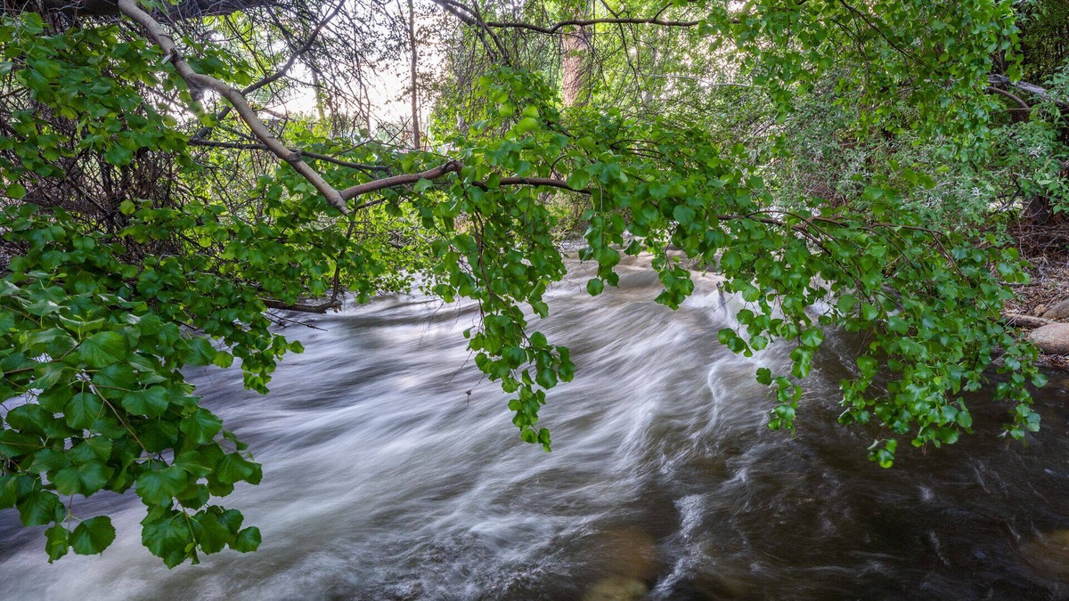 West Bishop House | Bishop Creek Retreat