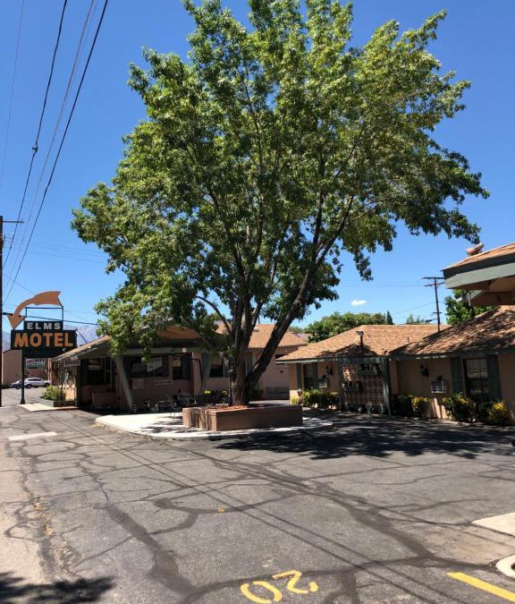 Bishop Hotel | Bishop Elms Motel