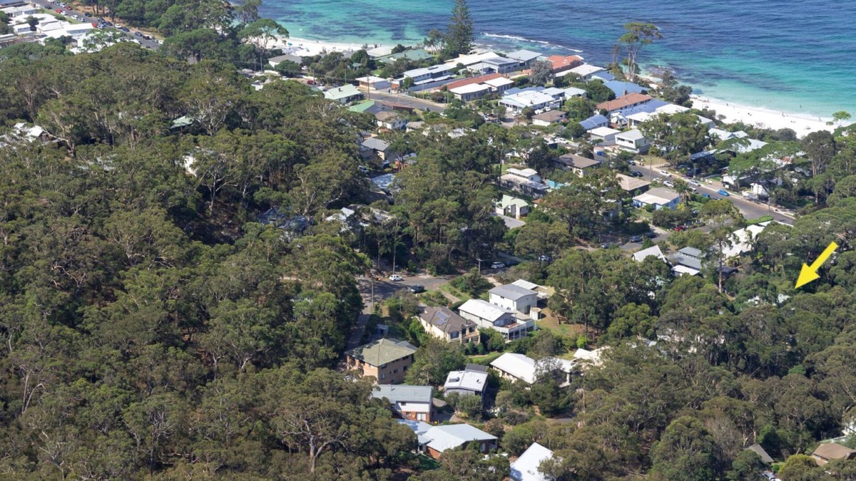 Hyams Beach House | Black Wattle at Hyams Beach