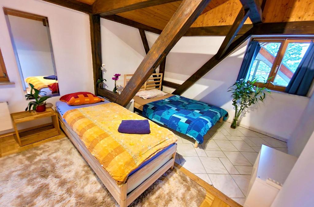 Munchenstein House | Blau bright room in nice apartment