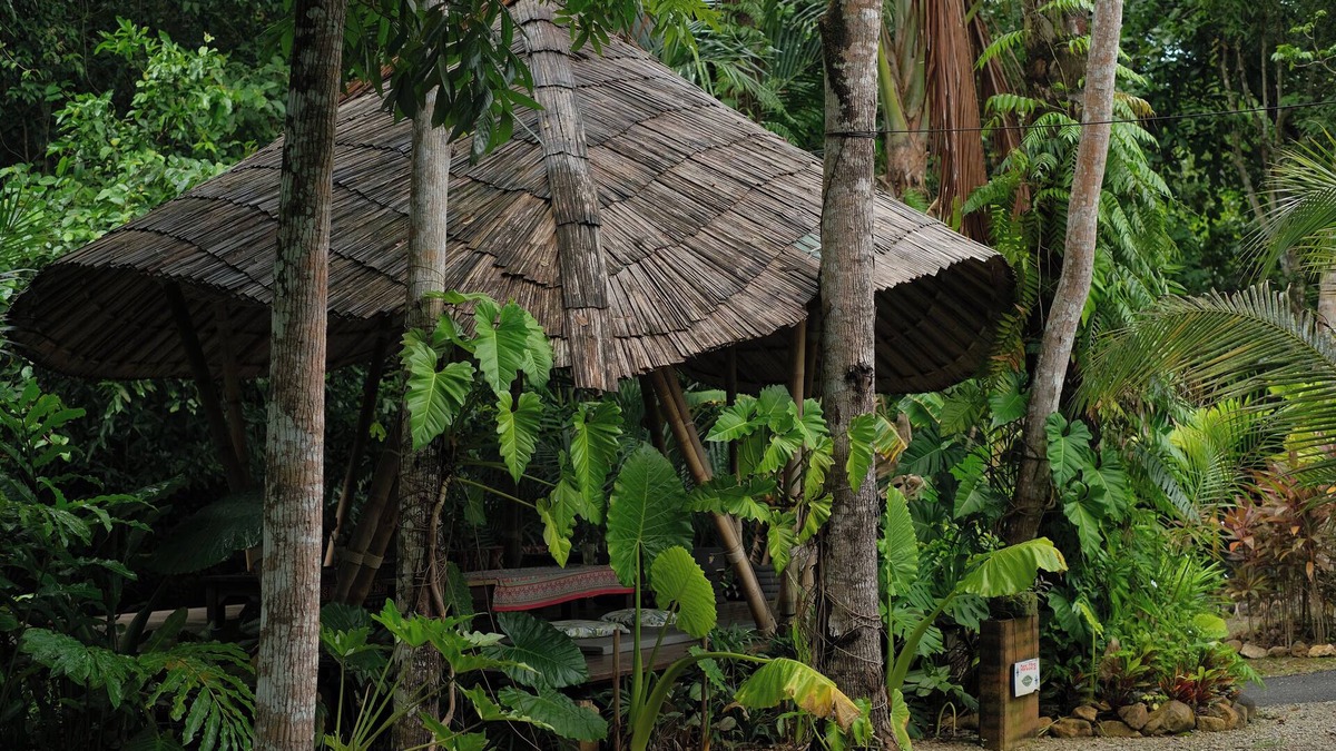 Ban Thung Hotel | Blu Monkey Pooltara Krabi Hotel and Villas