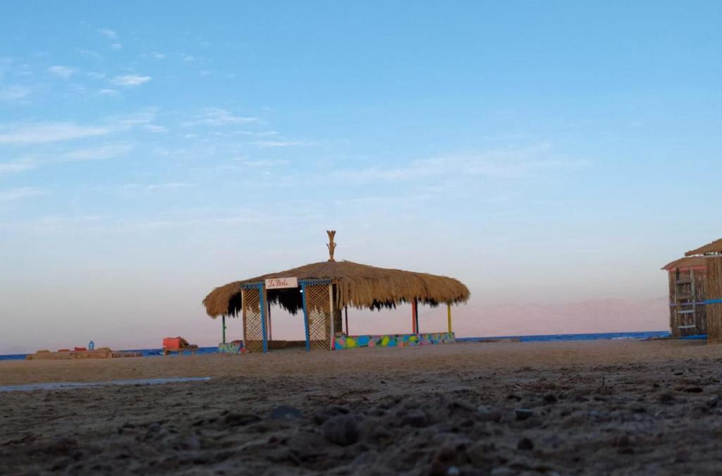 Wasit Other | Blue Beach Camp Nuweiba