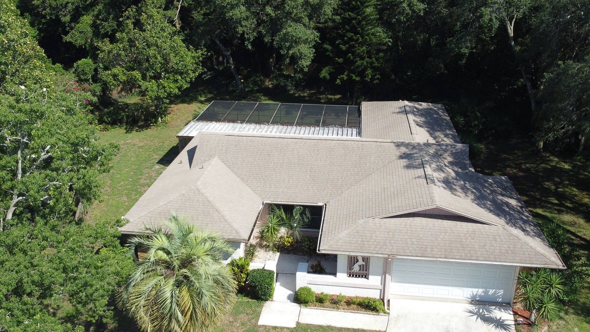 Palm Harbor House | Blue Dolphin Privacy Paradise Screened Pool Home!
