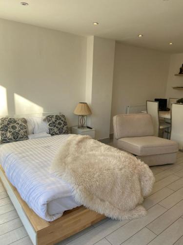 Hale House | Blue House