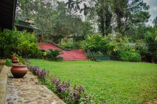 Weddagala Cabin | Blue Magpie Lodge Sinharaja