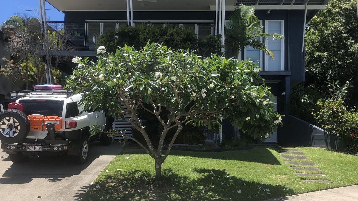 Brisbane Waterfront House | Blue Moon Beach House. Fabulous views. Free Wifi. Airconditioned bedrooms.