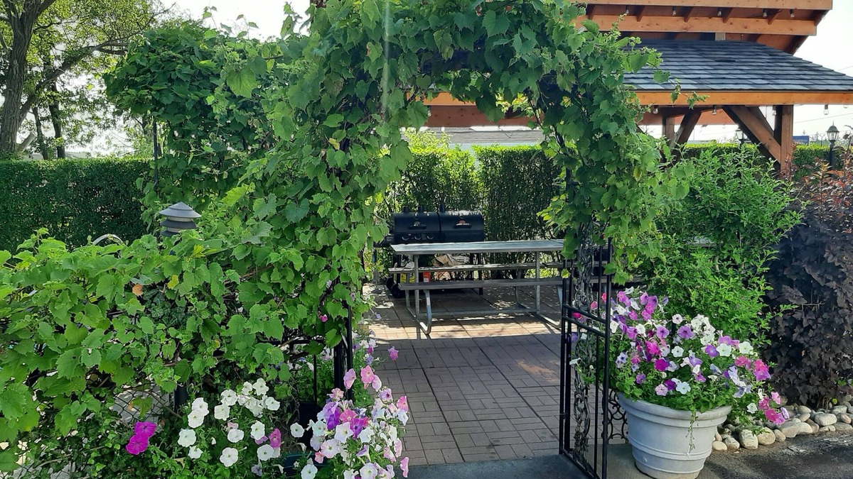 Niagara Falls Hotel | Blue Moon Motel