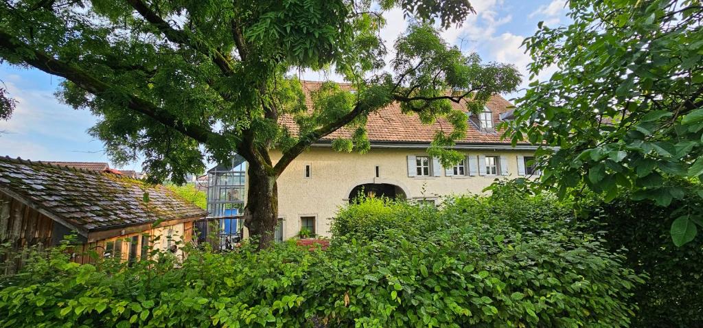 Gebenstorf Bed & Breakfast | Blue Wall BnB