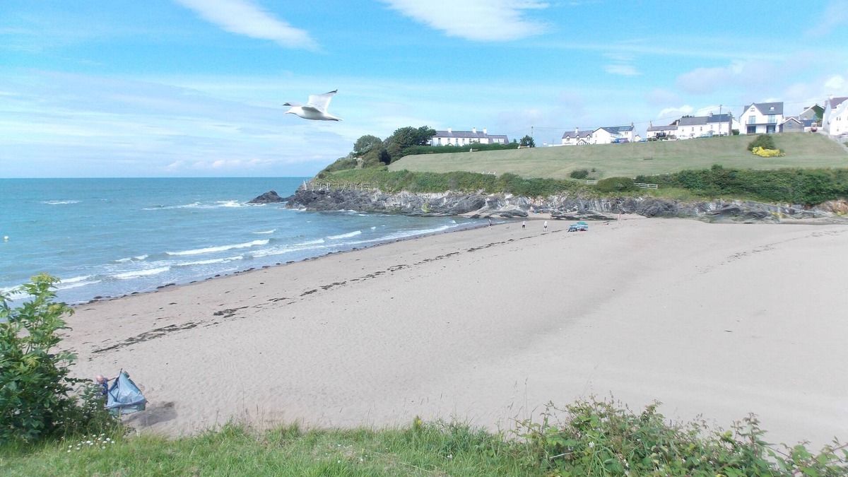 Tan-y-groes Cottage | Bluebell Cottage - 4 miles from unspoilt beaches - families and dogs welcome