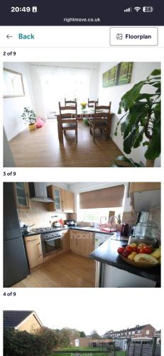 Moffat Villa | Bluebell House
