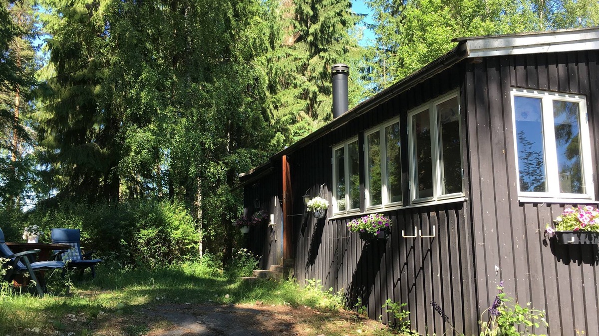 Skillingsfors Cabin | Blueberries Lake Cabin