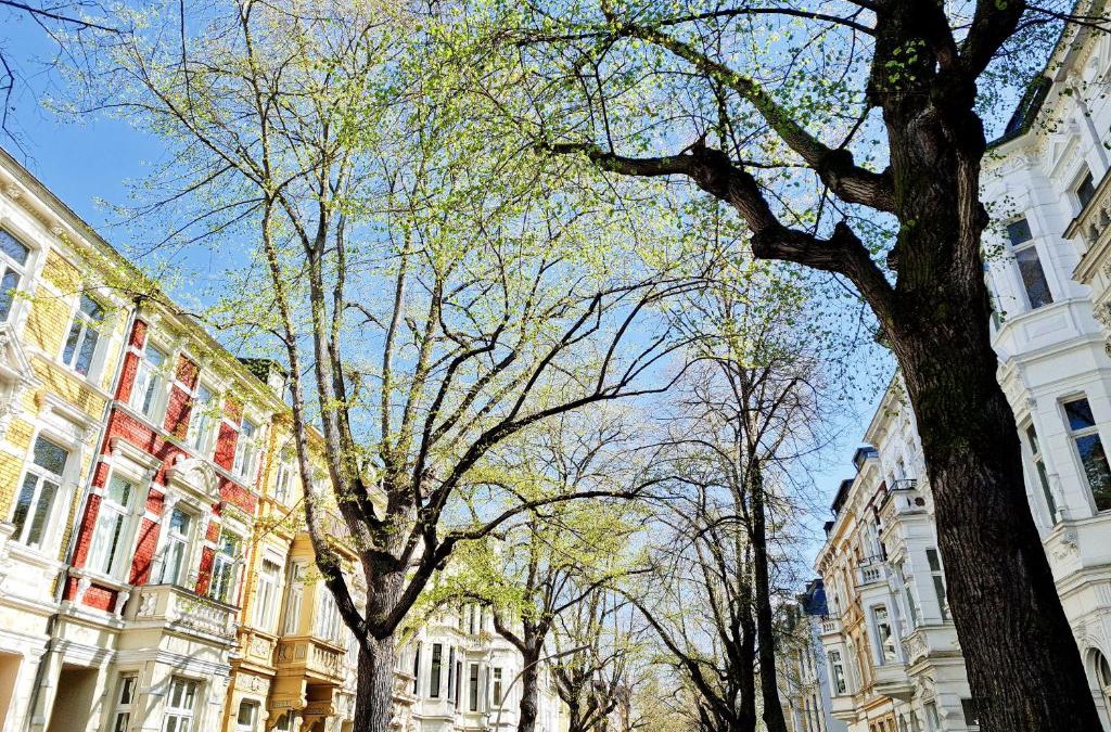 Suedstadt Bed & Breakfast | Blues & Chutney Bonn