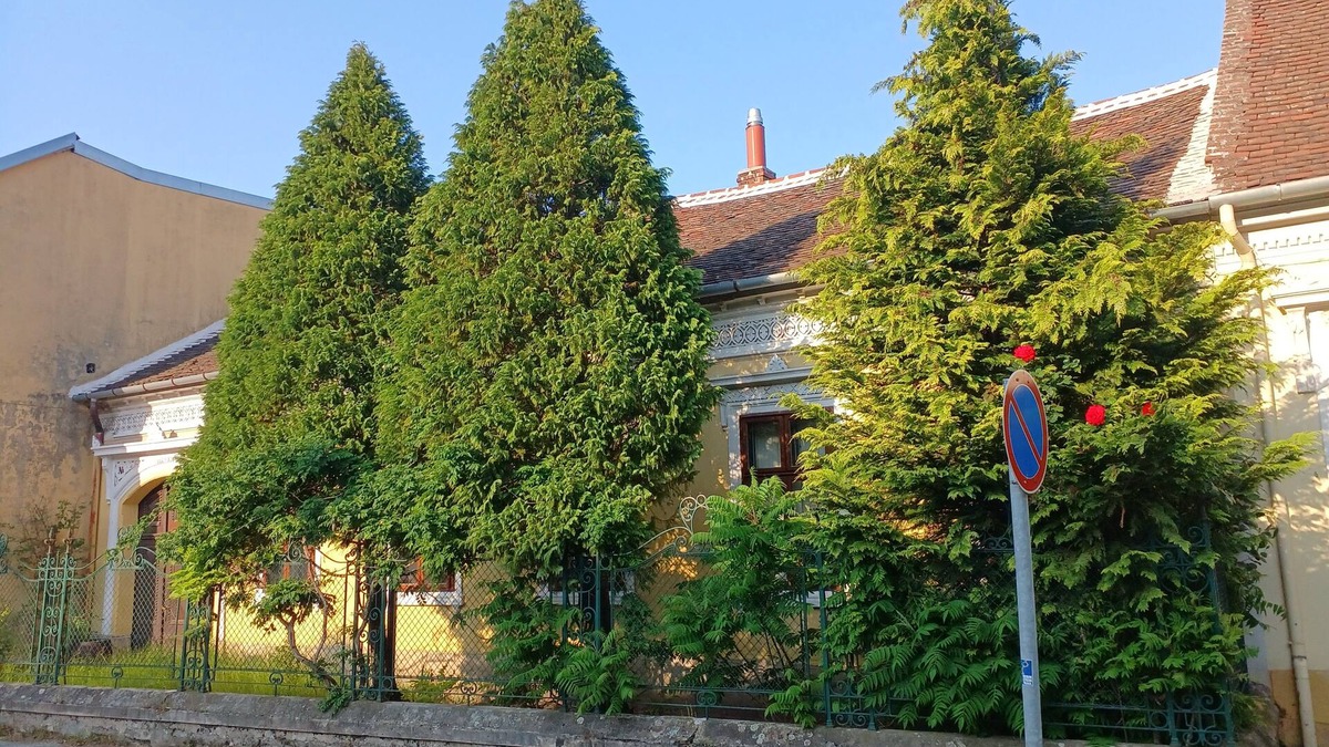 Koszeg Apartment | Blues Ryokan
