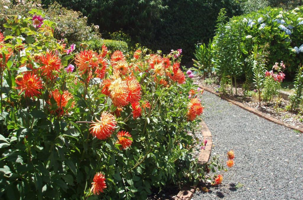 Boat Harbour House | Boat Harbour Garden Cottages