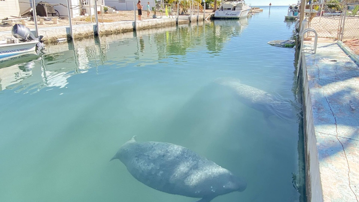 Geiger Key Cottage | Boater's Delight 10 Miles from Key West!