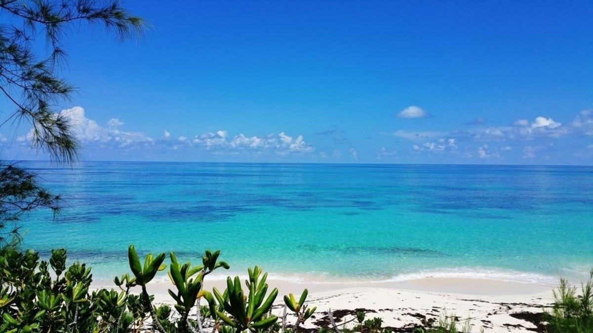 North Palmetto Point Cottage | Boathouse La Bougainvillea 1 Bedroom Cottage