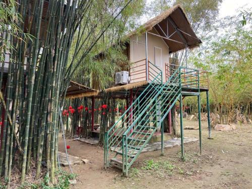 Dien Ban Other | Bobo Glamping 2