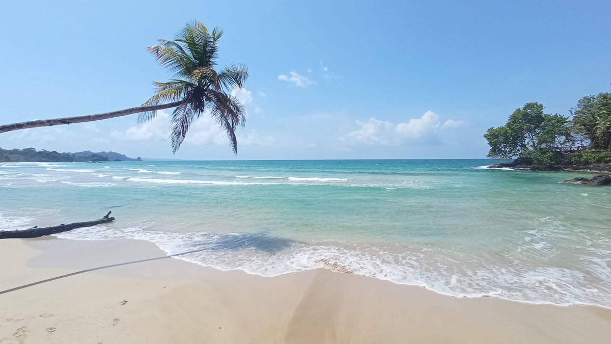 Big Creek Bed & Breakfast | Bocas del Toro, B&B Bocas del Toro, Hotel Bocas del Toro