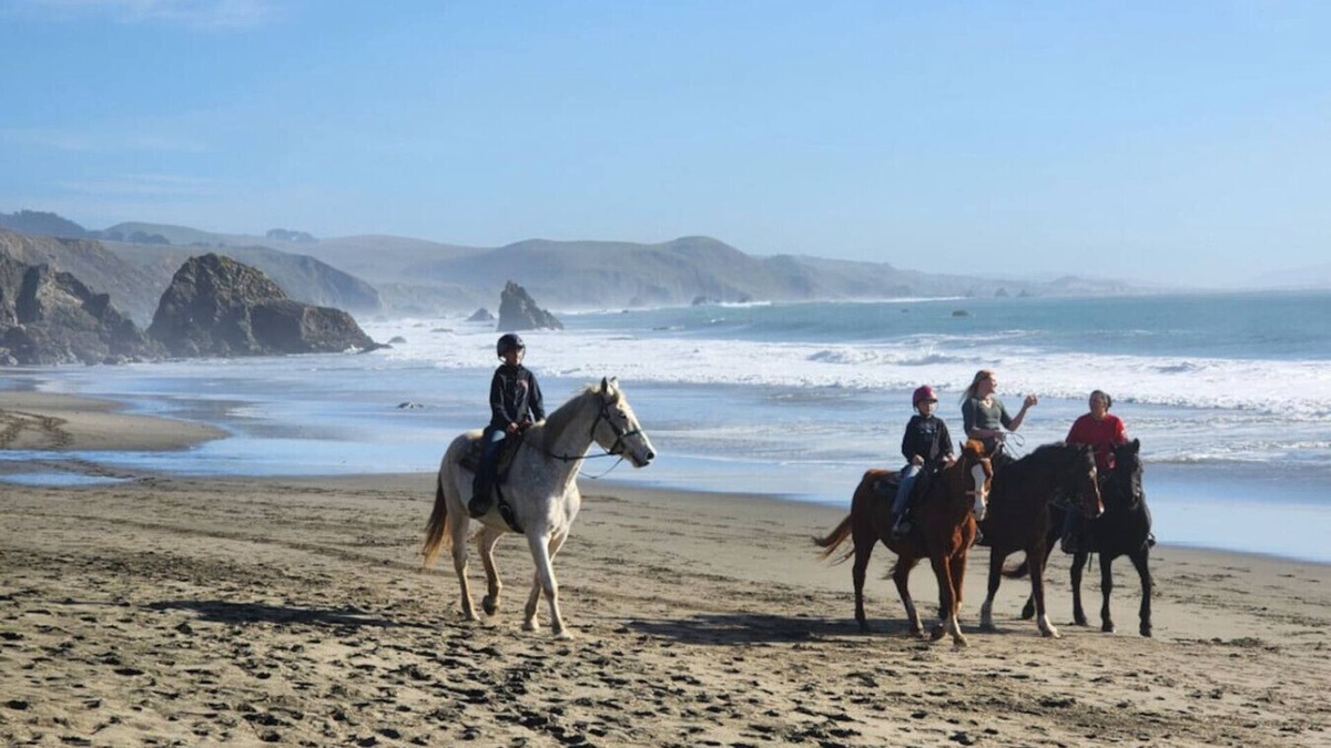 Bodega Bay Apartment | Bodega Bay Sonoma Coast Ocean Views 3 Bedroom Home