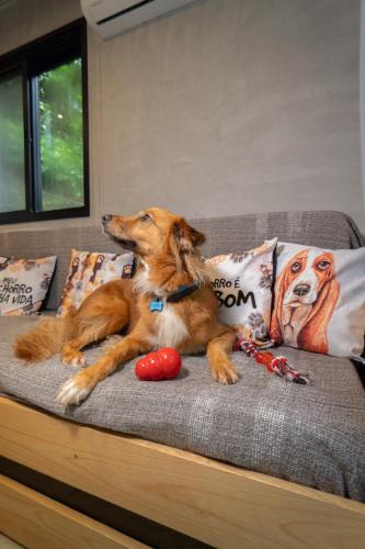 Morro de Sao Paulo Apartment | Bom pra Cachorro