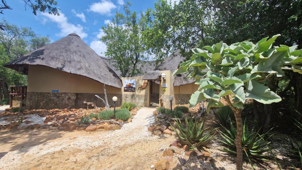 Hoedspruit Cabin | Bona Intaba Game Lodge