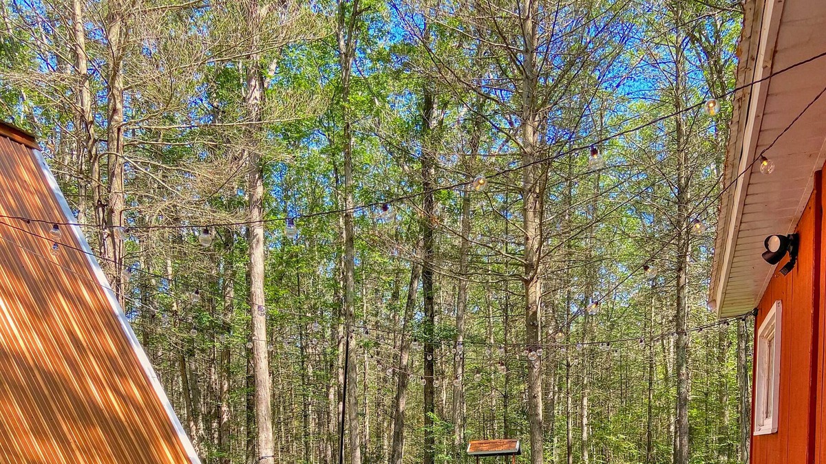 Holton Cabin | Book your Summer stay NOW!