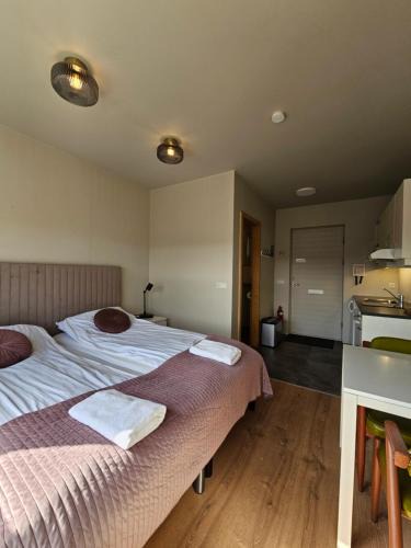 Hvolsvollur Apartment | Borg Apartments