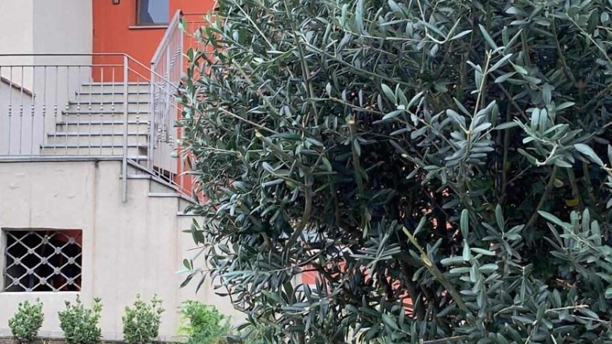 Bergamo Bed & Breakfast | Borghetto Airport - Hospital