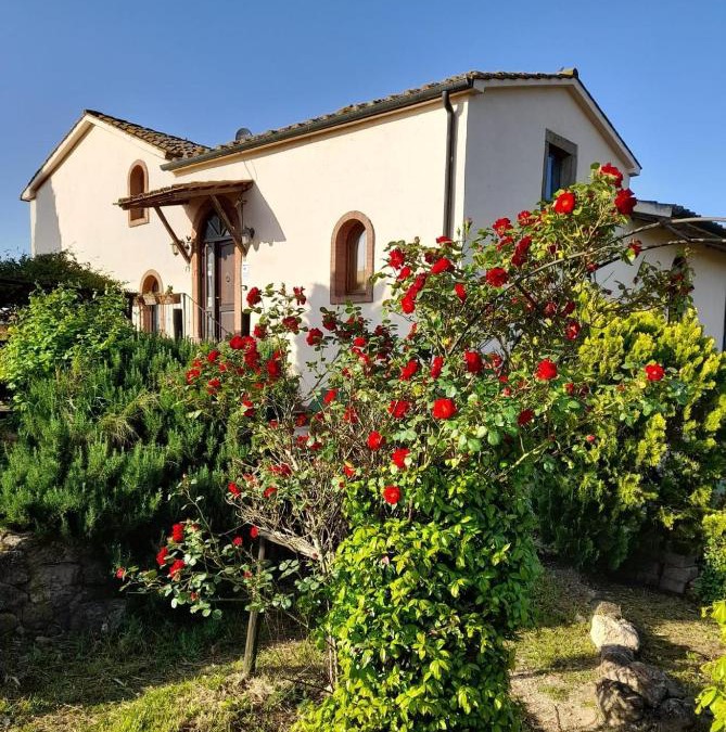 Roccastrada House | Borgo de' Muracci