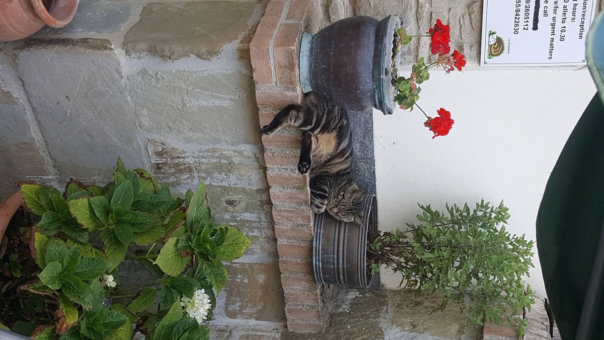 Barberino di Mugello Condo | Borgo la Fratta holiday home apartment 1