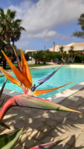 Fontanasalsa House | Borgo Pida