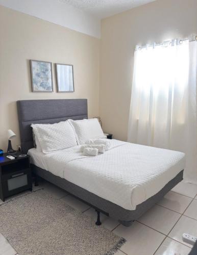 Rio Pietro Apartment | Boricua 2 Studio Apt D Air Conditioning WiFi