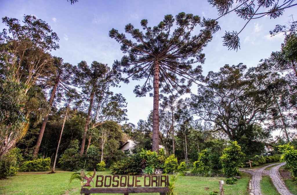 Reboucas House | Bosque Oriri