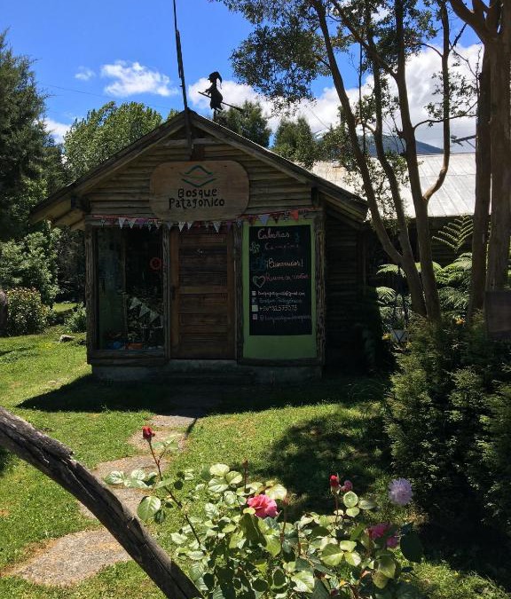 Hornopiren National Park Other | Bosque Patagonico Cabañas y Camping
