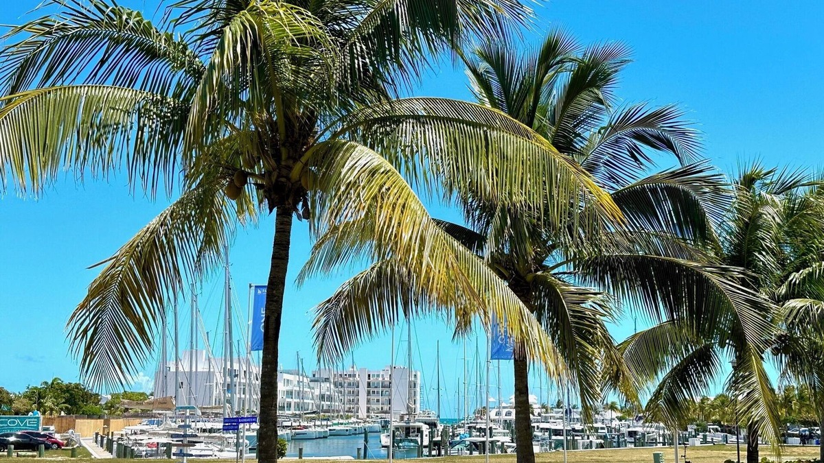 Palm Cay Apartment | Bougainvillea! Luxury apartment, marina & beach access!n10/10 Excellent!