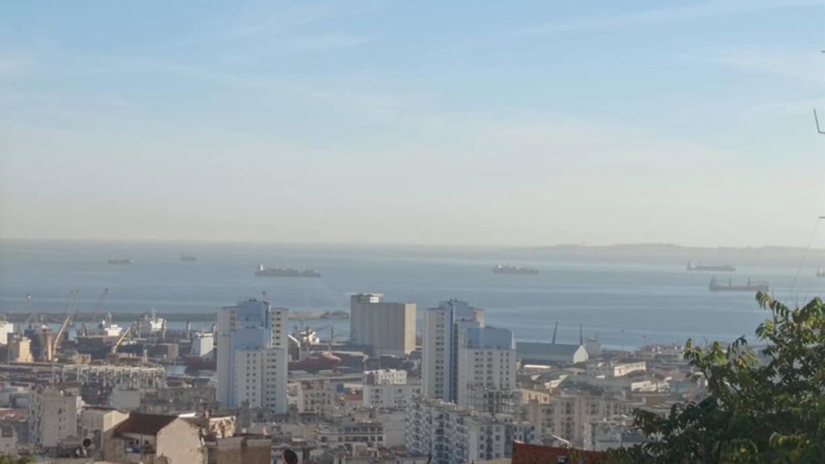 El Mouradia Apartment | Boulevard bru - nice view