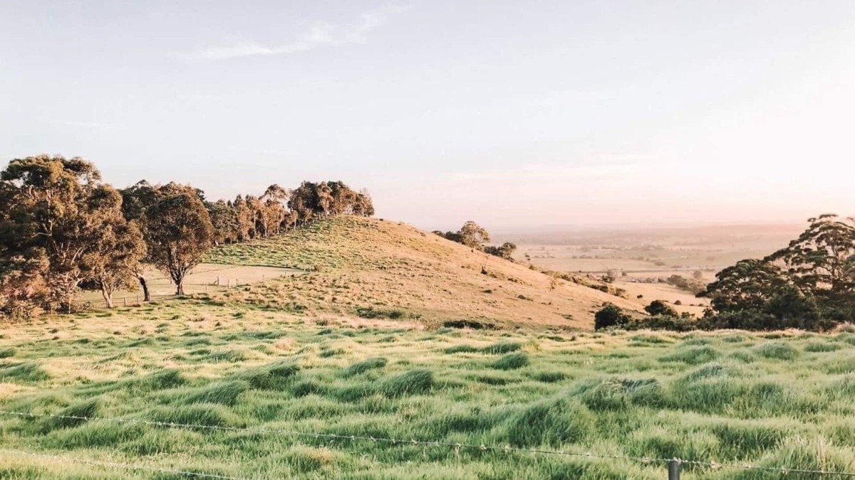 Willow Vale Cottage | Boutique getaway - Just 5 minutes from the beach with sweeping country views