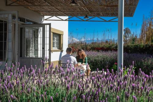 Maipu Villa | Boutique Vineyard and Wine Lodge