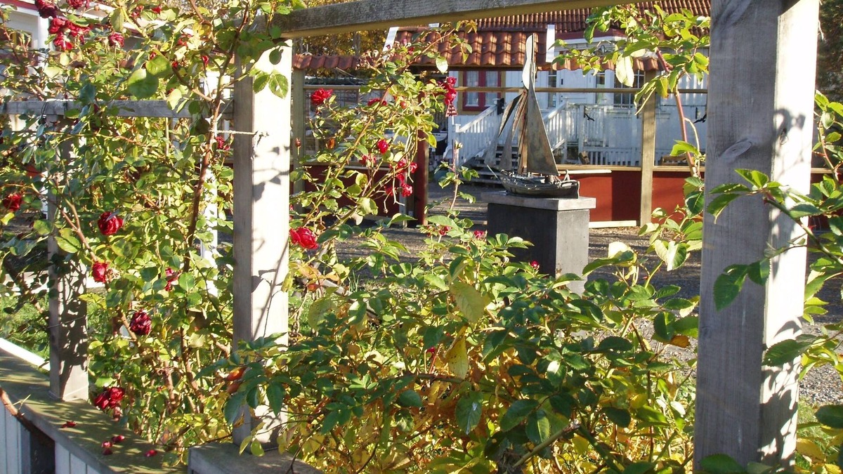 Branno Hotel | Brännö Värdshus & Pensionat Baggen