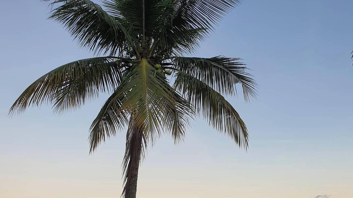 Pereque House | House to relax in the wonderful nature of Angra dos Reis