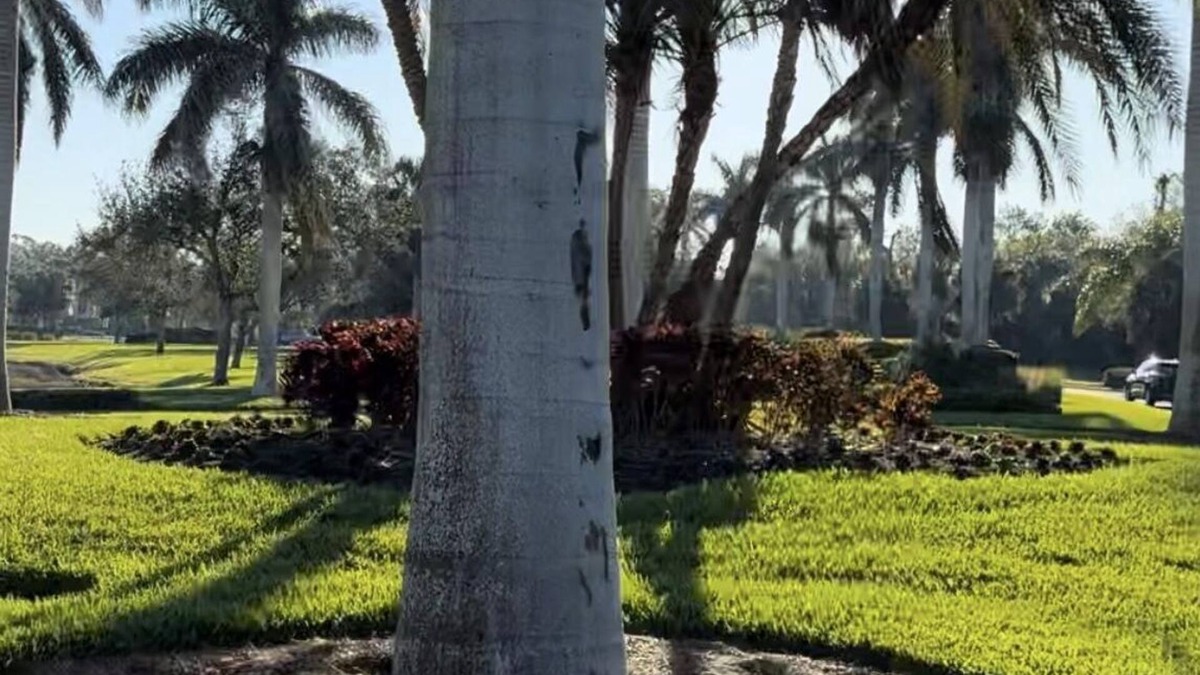 Punta Gorda Condo | Brand new 2-bedroom condo Newly furnished with fitness center, pools, etc