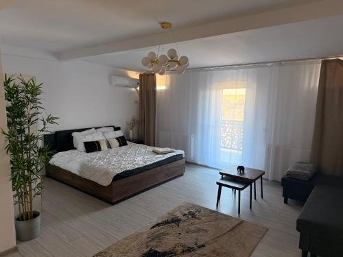 Bucharest Apartment | Brand New Apartment with Self check in - Spital Fundeni -Dragonul Rosu