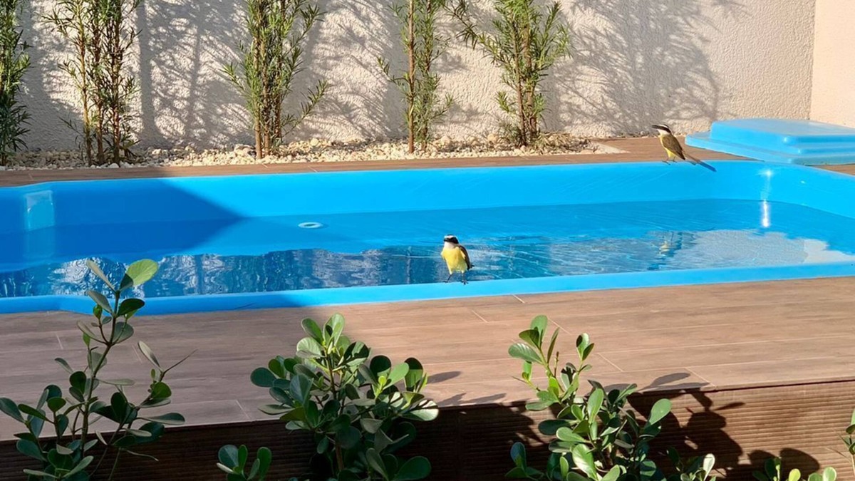 Foz do Iguacu House | Brand new beautiful house with swimming pool in central Foz
