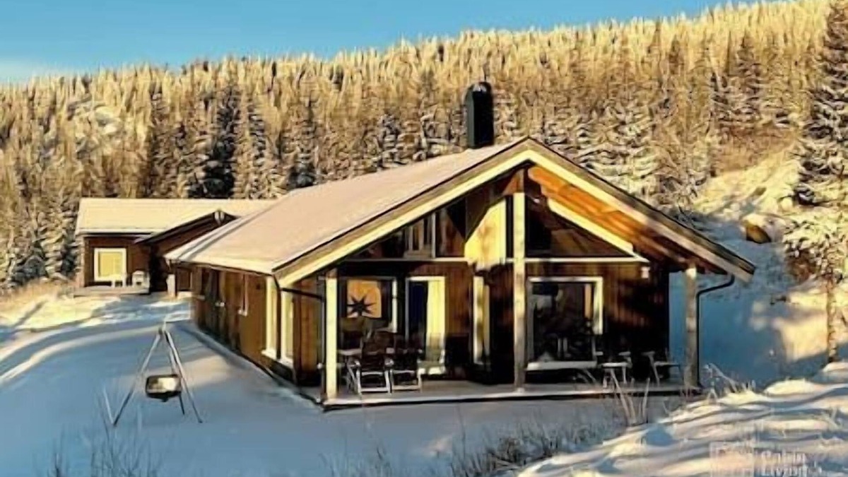 yer House | Brand new large cabin with sauna and ski in out