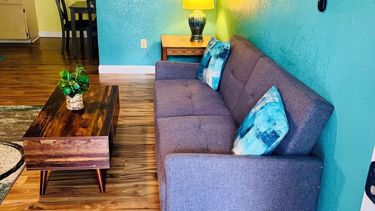 Safety Harbor Apartment | Brand new remodeled luxury apartment near park and marina!